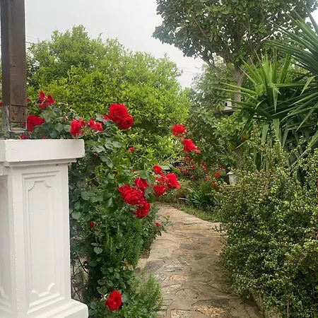 No2 Bodrum
