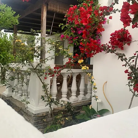 No2 * Bodrum