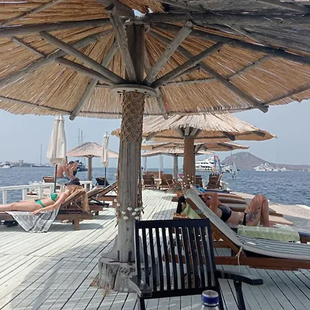 No2 Bodrum