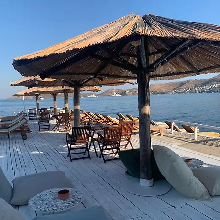 No2 * Bodrum
